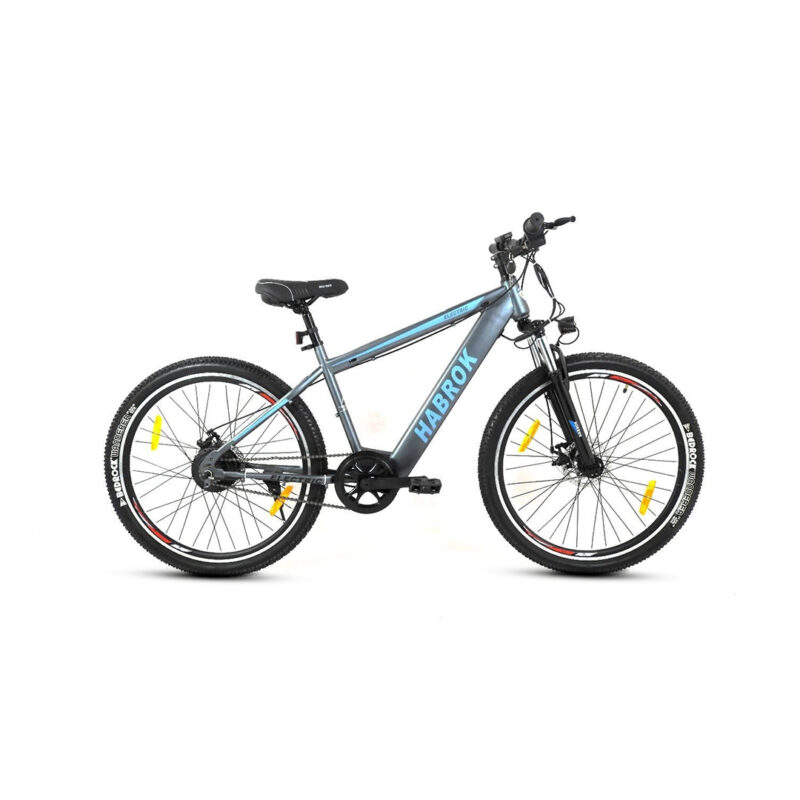 Electric Bike Steel 21 Speed